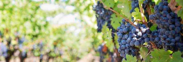 一键备份还原的呼死你电话轰炸